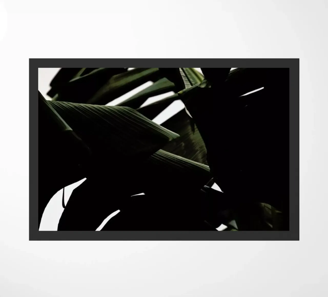 Stillness zerbino da Flora & Fauna