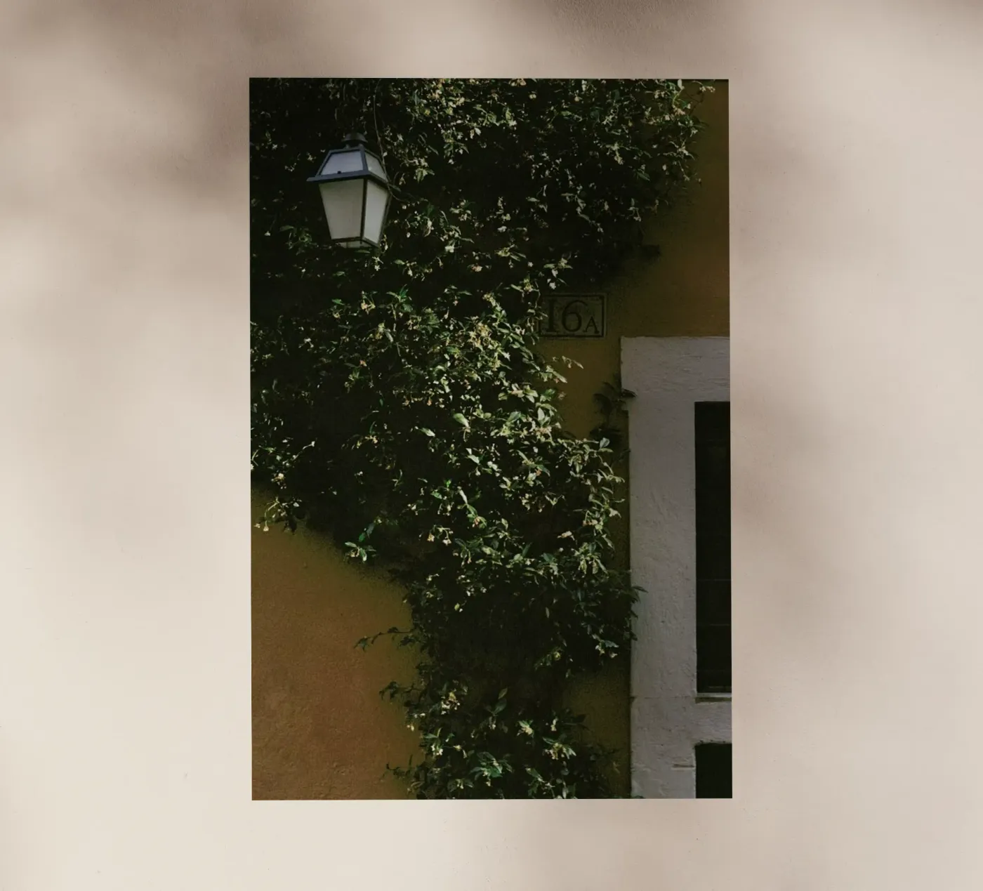 16A pellicola backlit da Picture On The Fridge