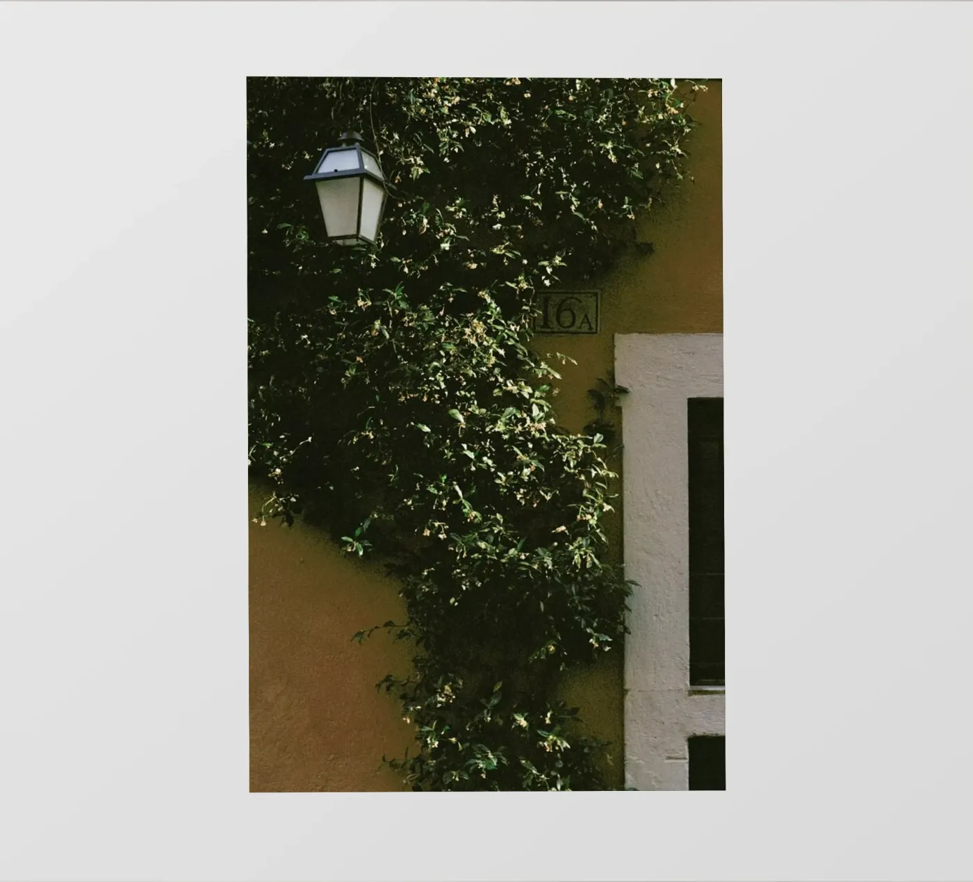 16A pellicola backlit da Picture On The Fridge