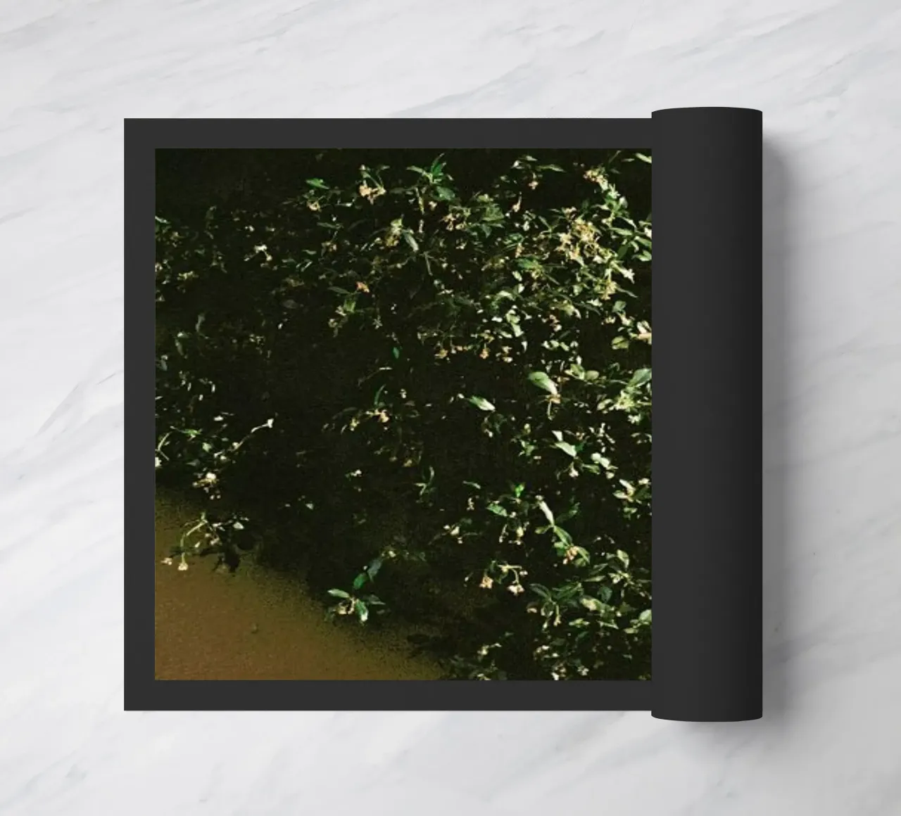 16A doormat by Picture On The Fridge