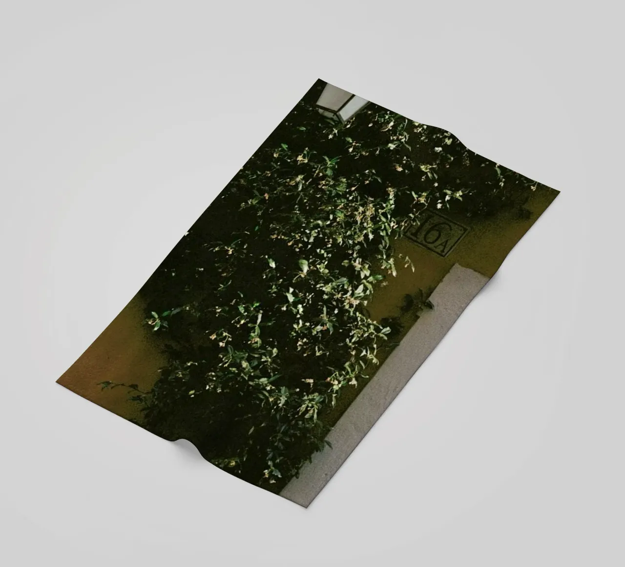 16A telo mare da Picture On The Fridge