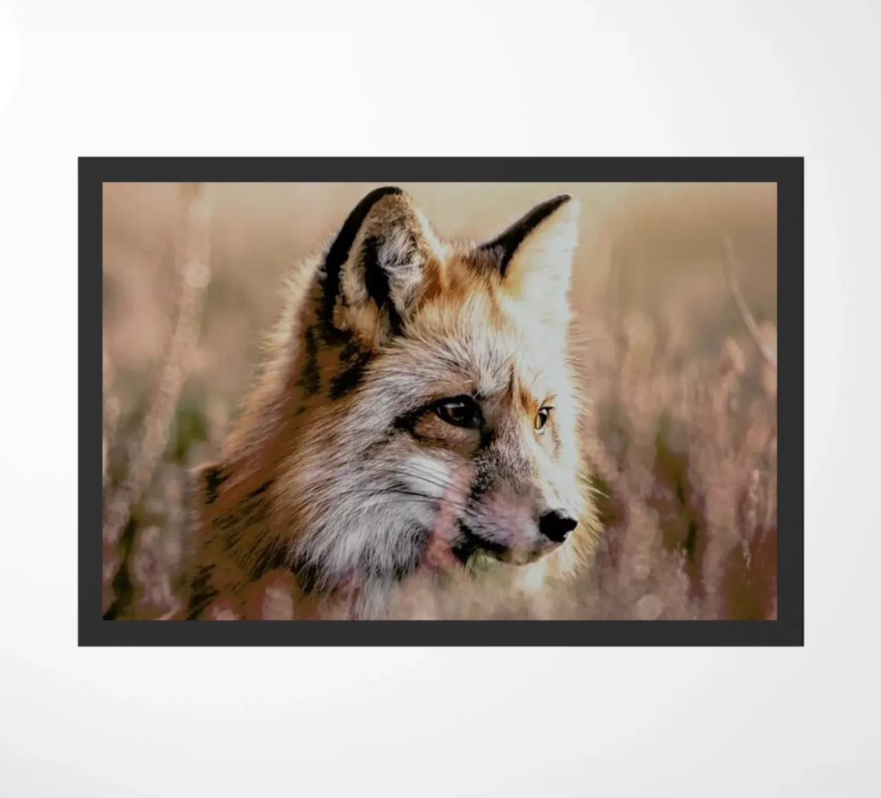 Fox in Reeds zerbino da Natural Kingdom