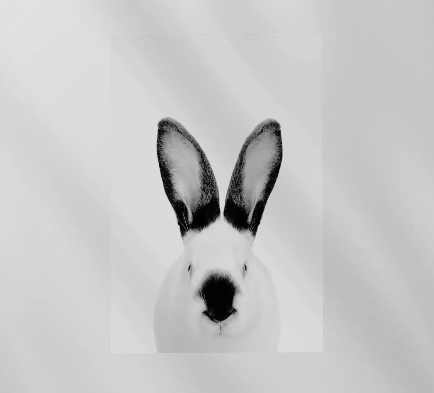 Rabbit Classic pellicola backlit da Paws & Claws