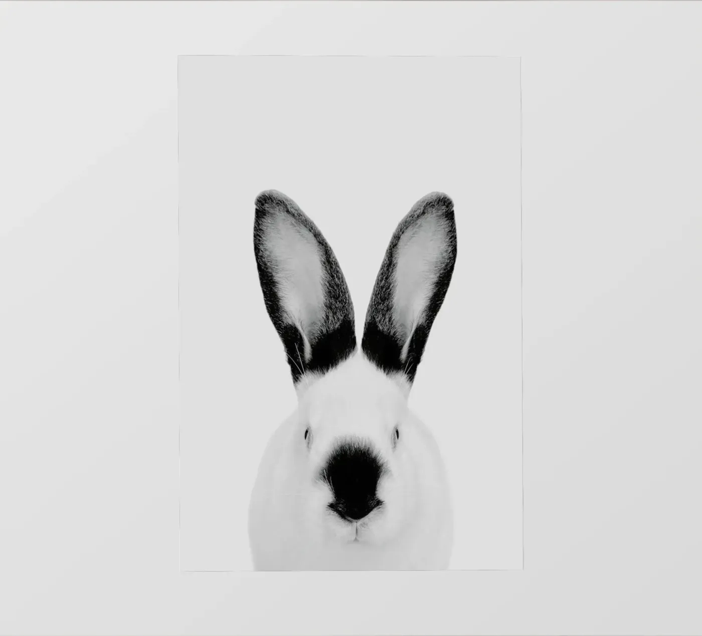 Rabbit Classic pellicola backlit da Paws & Claws