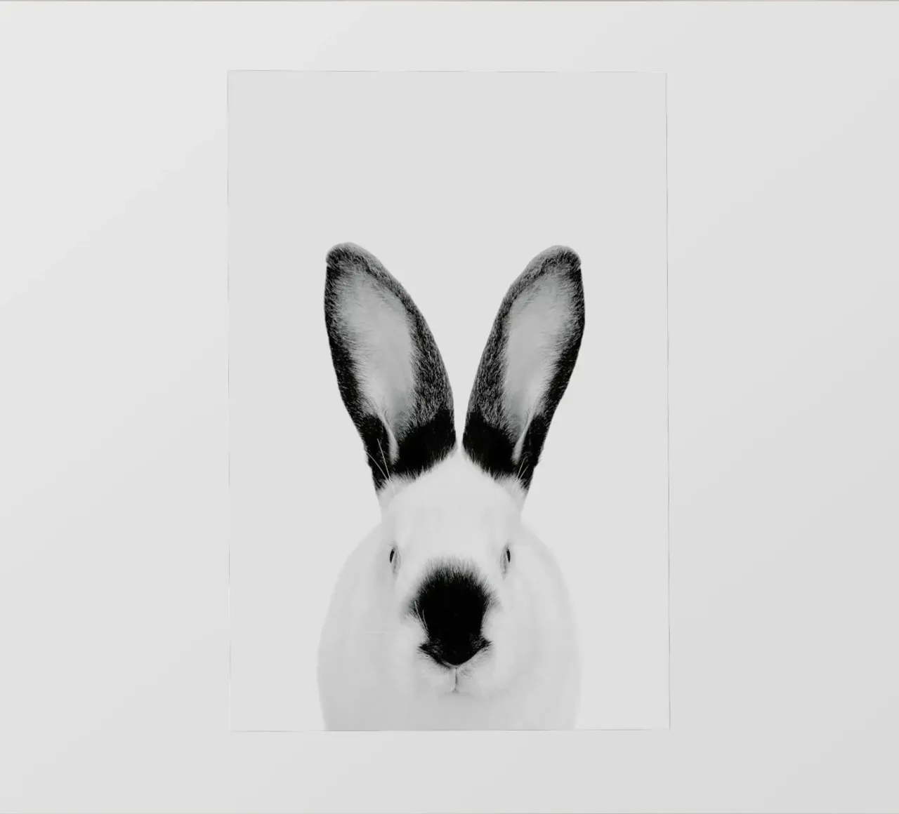 Rabbit Classic telo in pvc da Paws & Claws