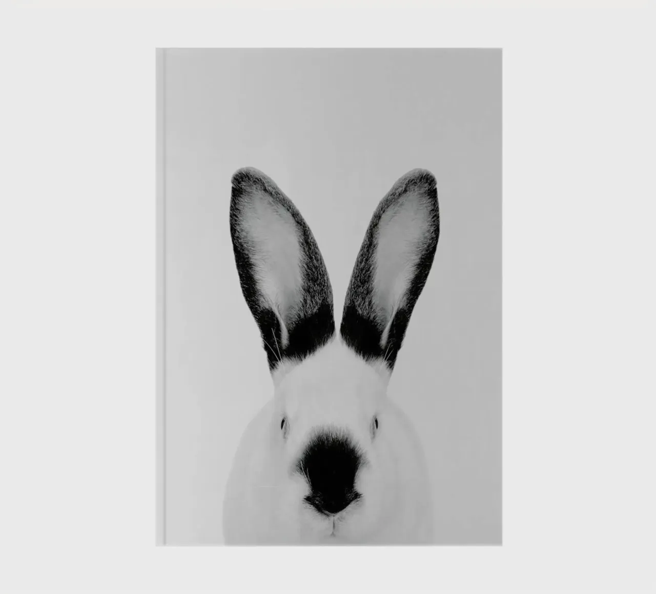 Rabbit Classic notebook by Paws & Claws