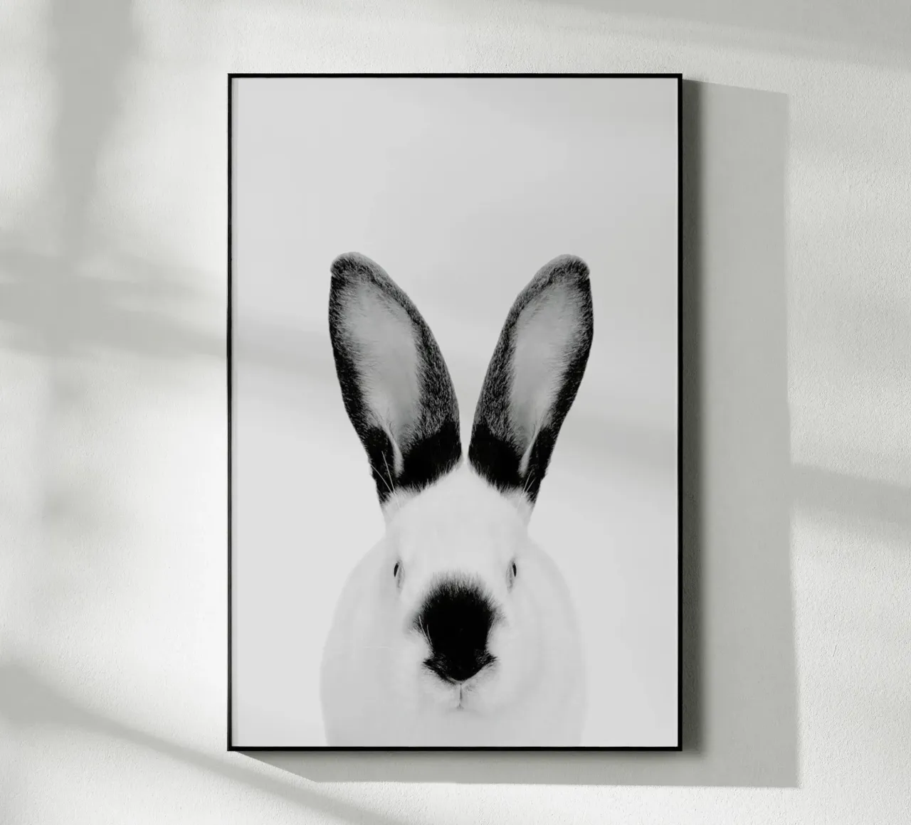 Rabbit Classic plexiglass da Paws & Claws