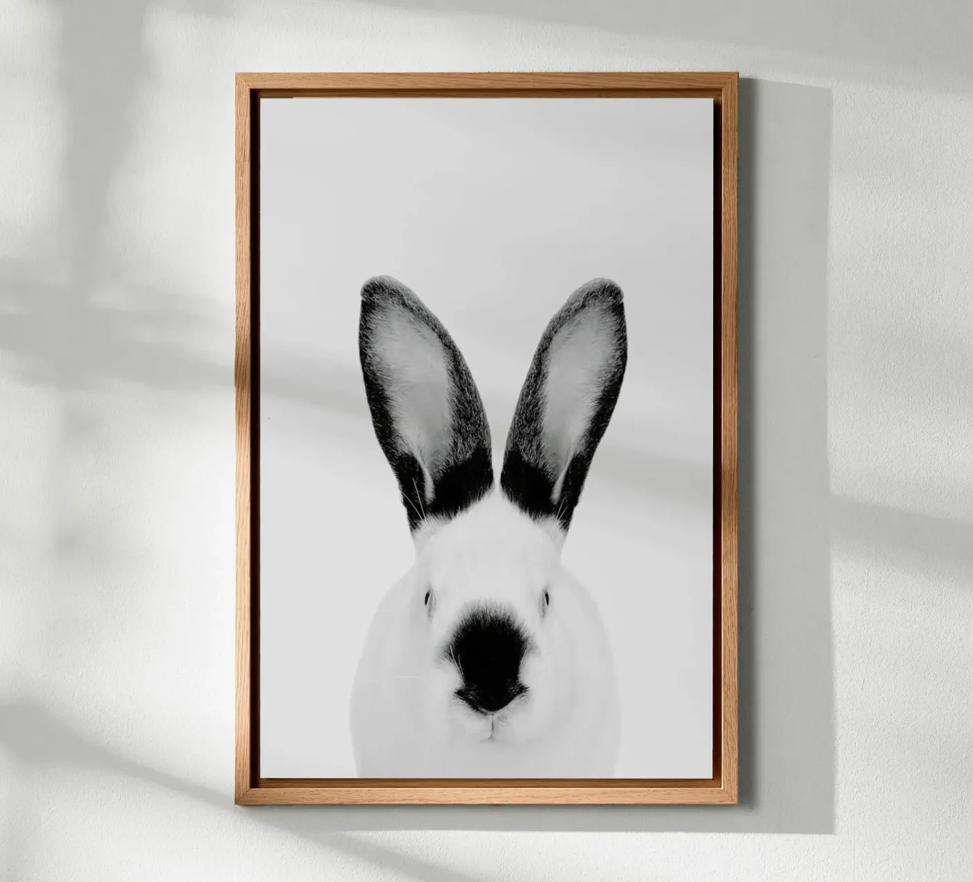 Rabbit Classic alluminio dibond da Paws & Claws