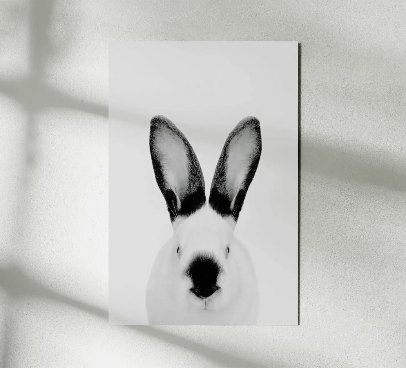 Rabbit Classic alluminio dibond da Paws & Claws