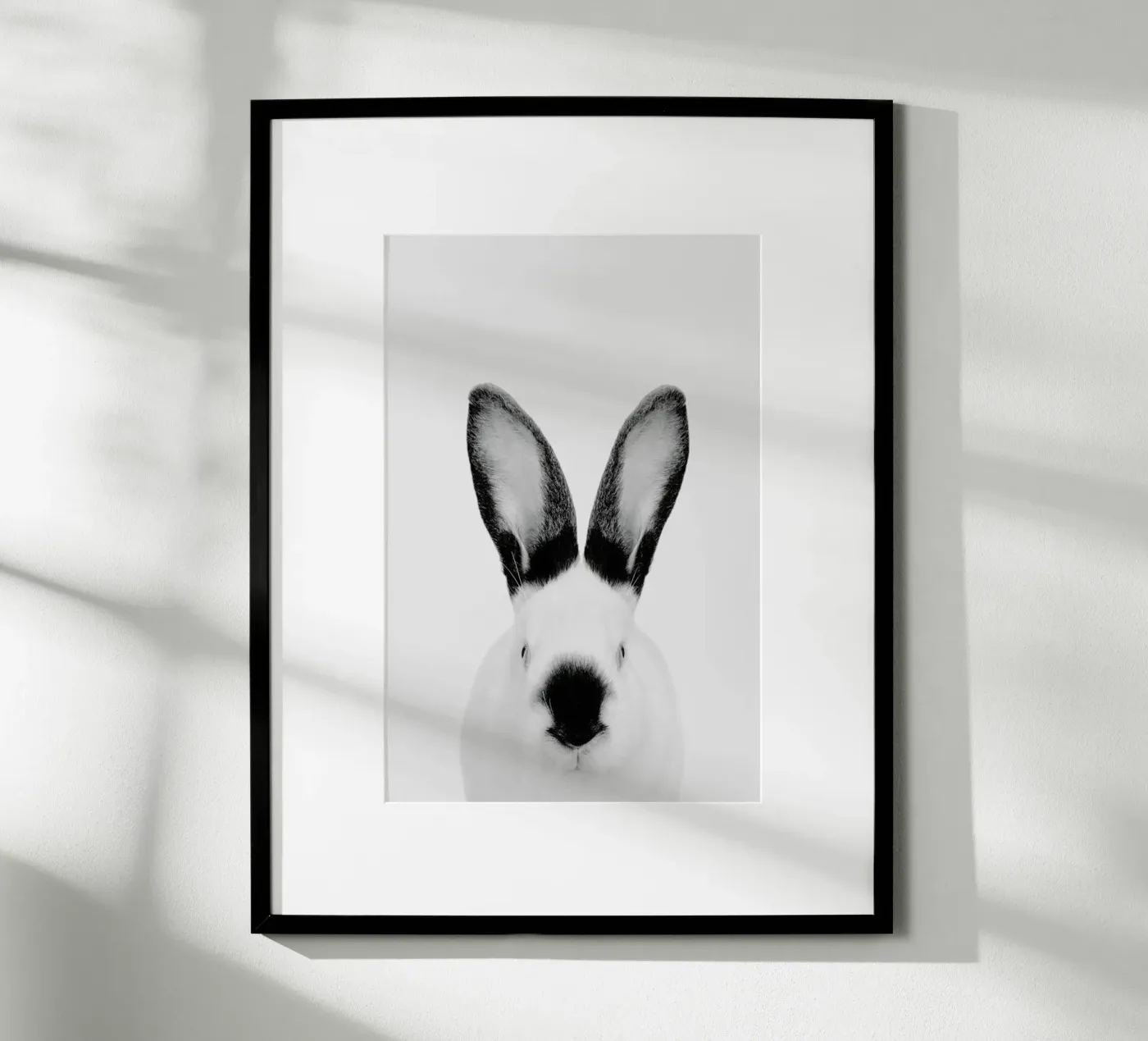 Rabbit Classic poster da Paws & Claws