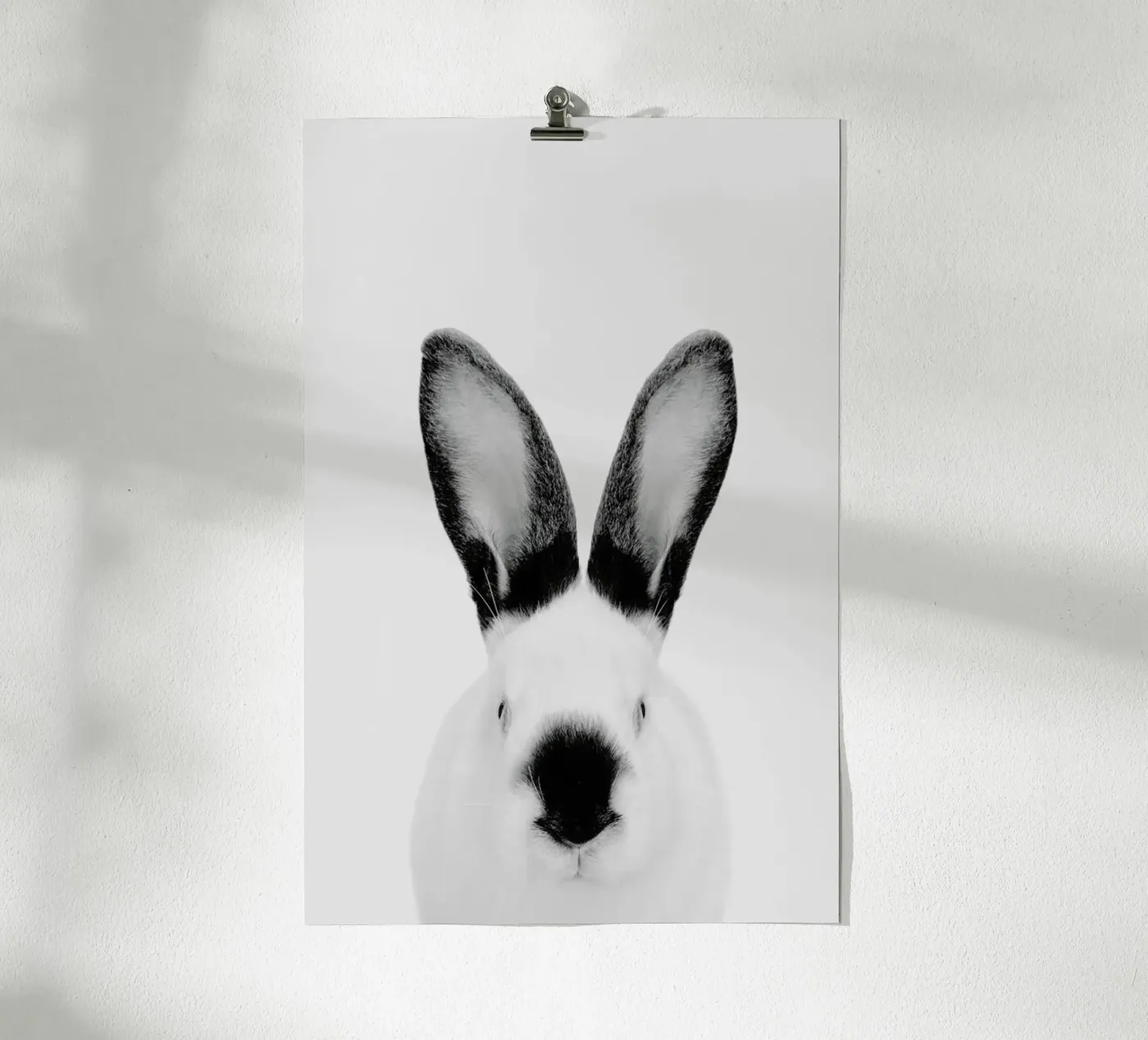 Rabbit Classic poster by Paws & Claws