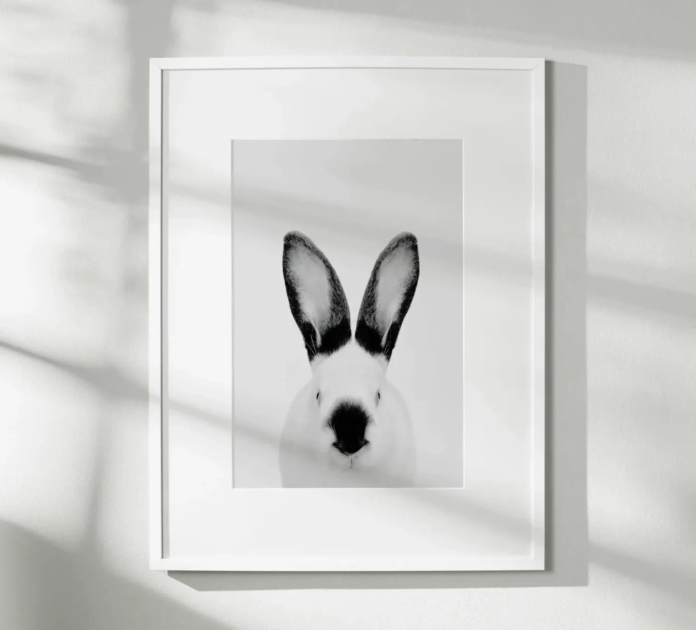 Rabbit Classic poster by Paws & Claws