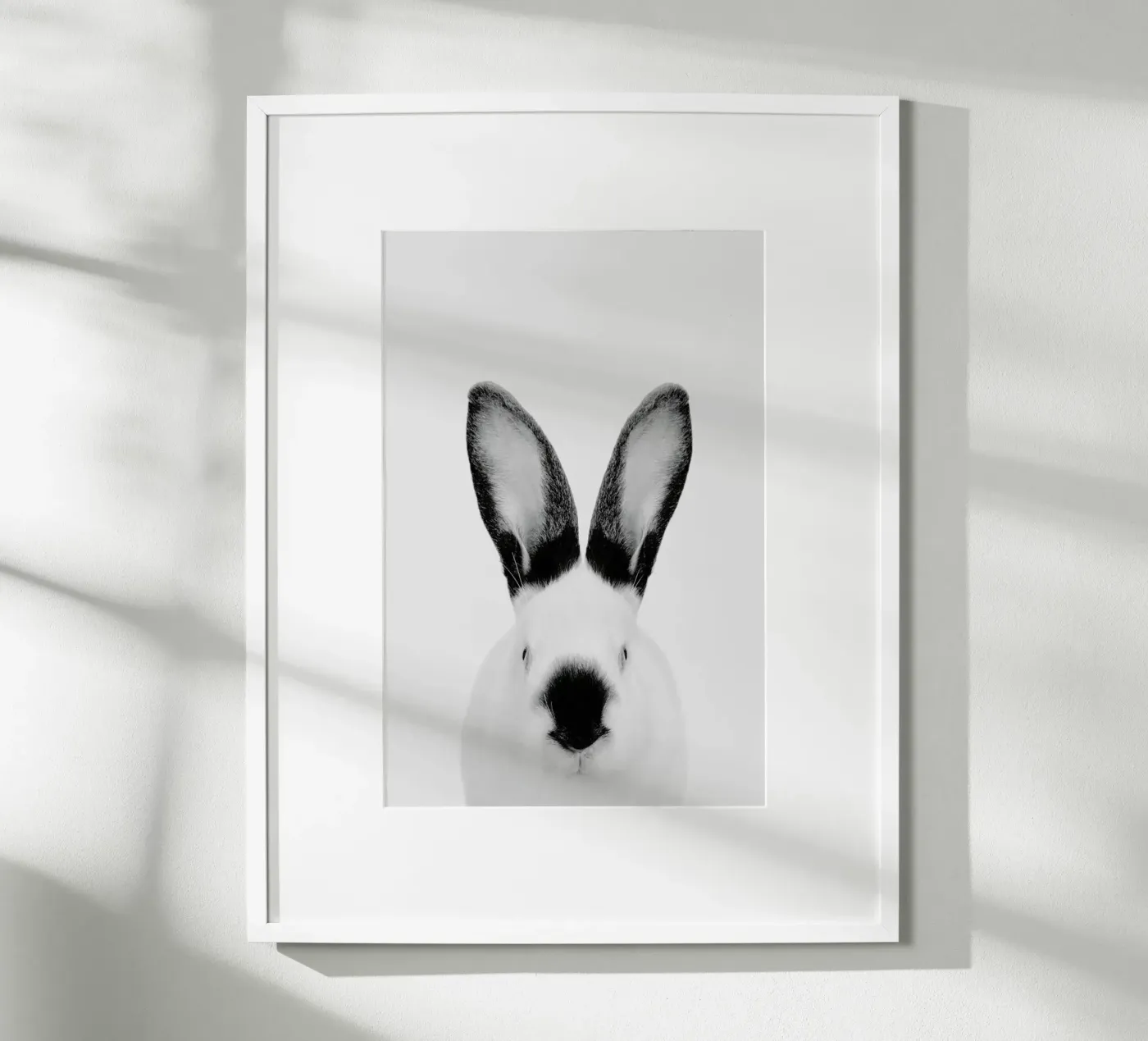 Rabbit Classic poster da Paws & Claws