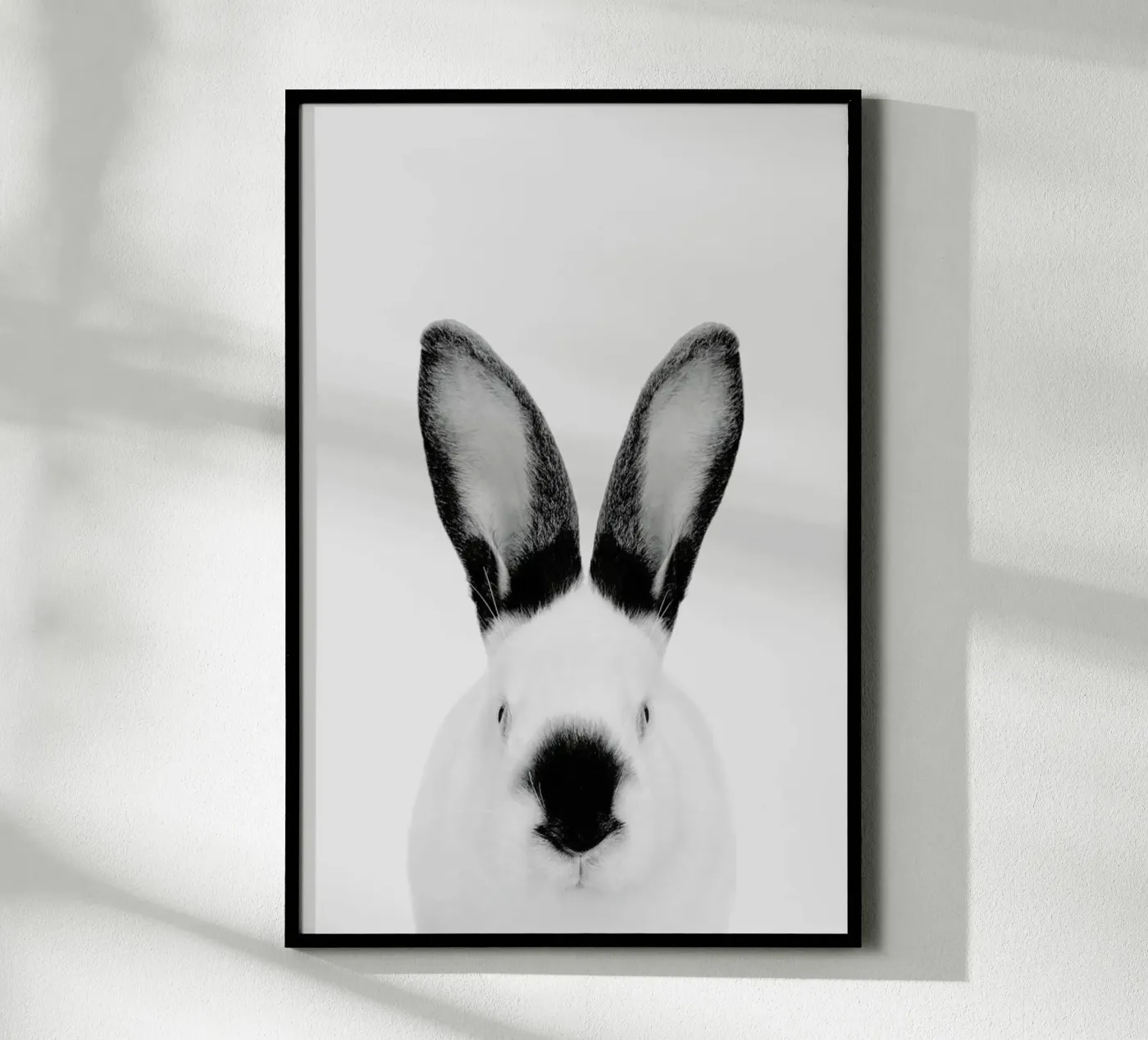Rabbit Classic poster by Paws & Claws