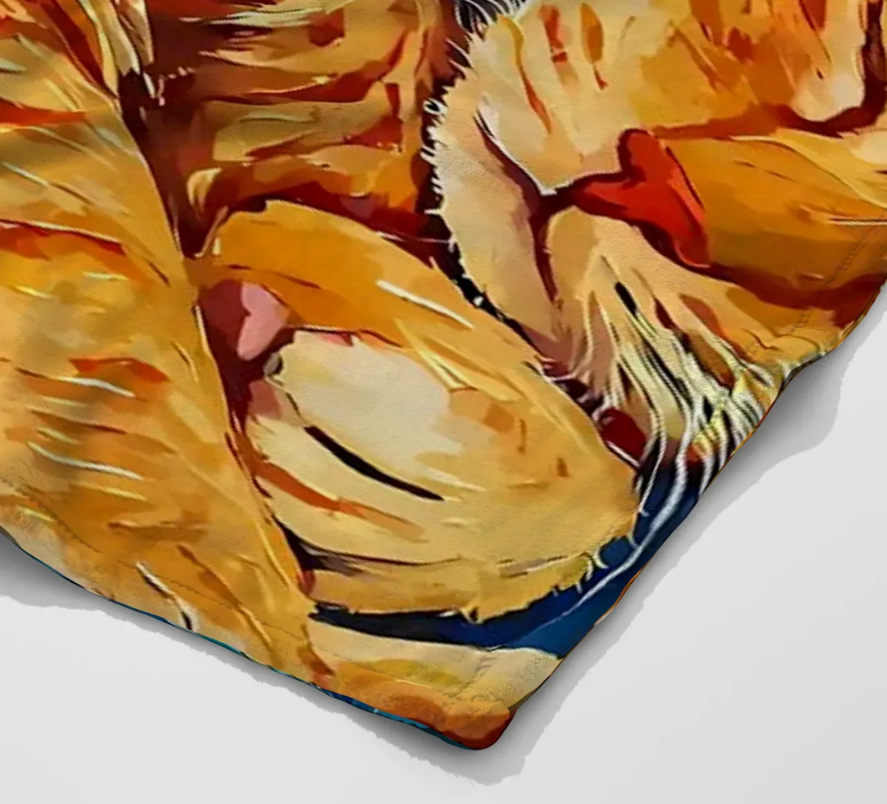 Gatto arancione che dorme coperta in pile da Adrian Patel
