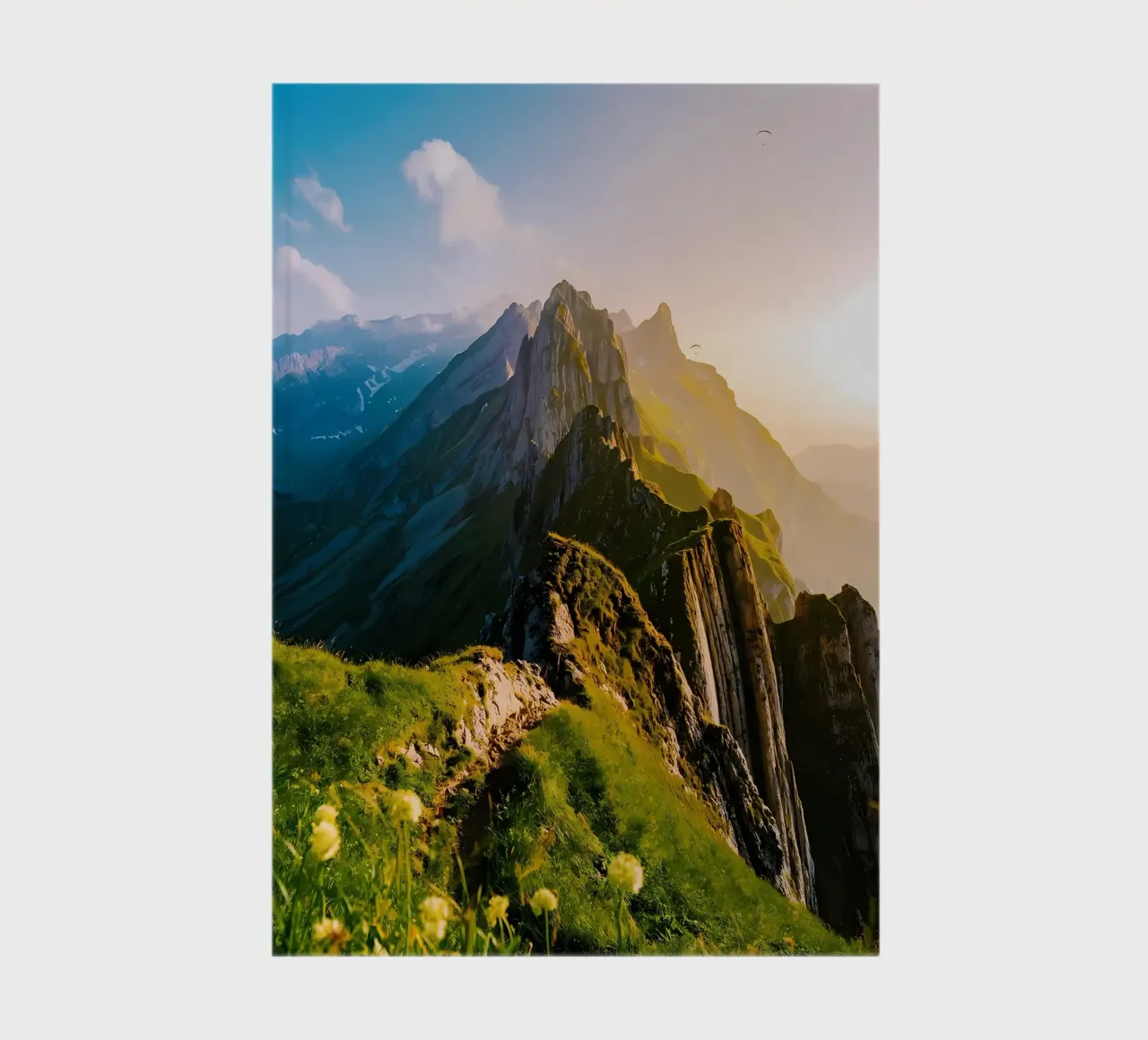 Nature notebook by Matthew Katz