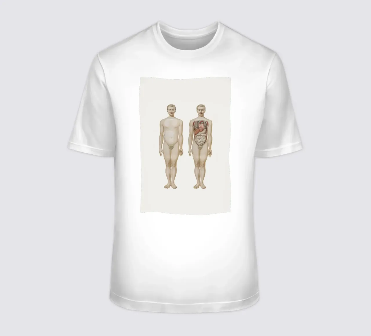 Anatomy t-shirt by Flora & Fauna