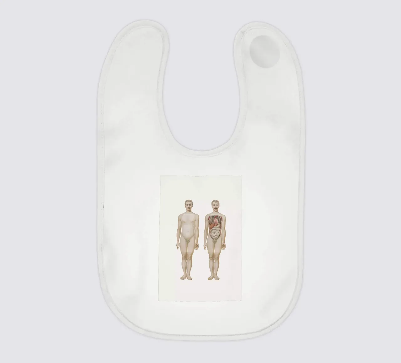 Anatomy bavaglino da Flora & Fauna