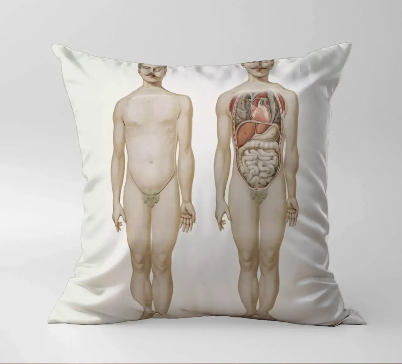 Anatomy decorative cushion by Flora & Fauna