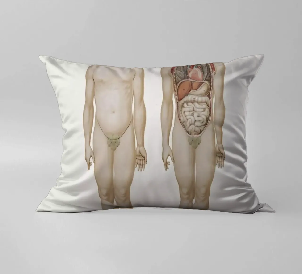 Anatomy decorative cushion by Flora & Fauna