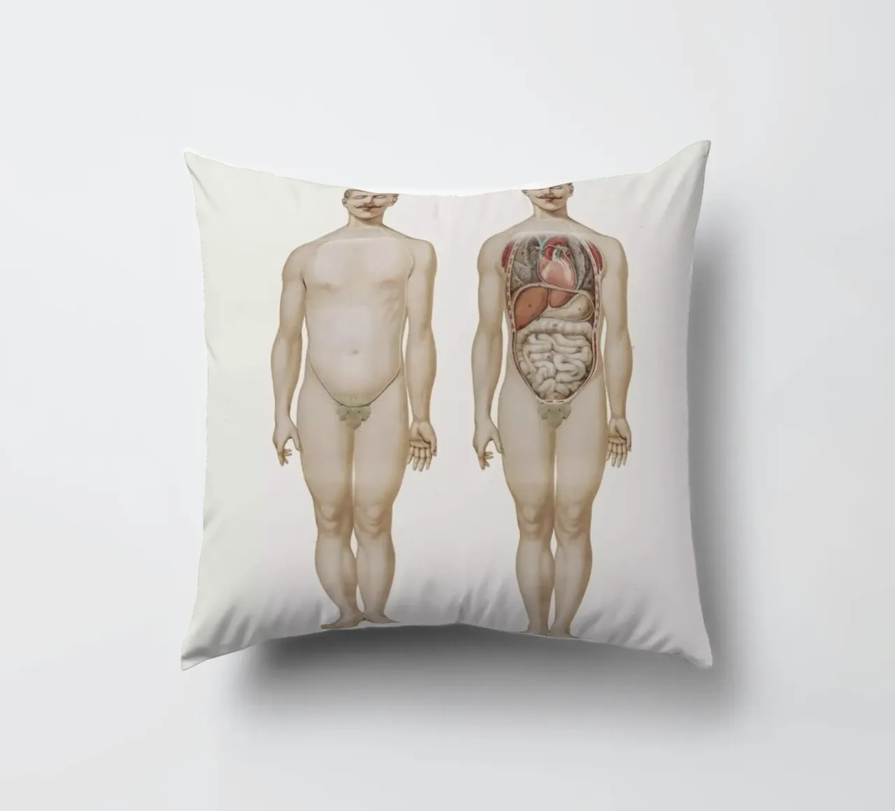 Anatomy decorative cushion by Flora & Fauna