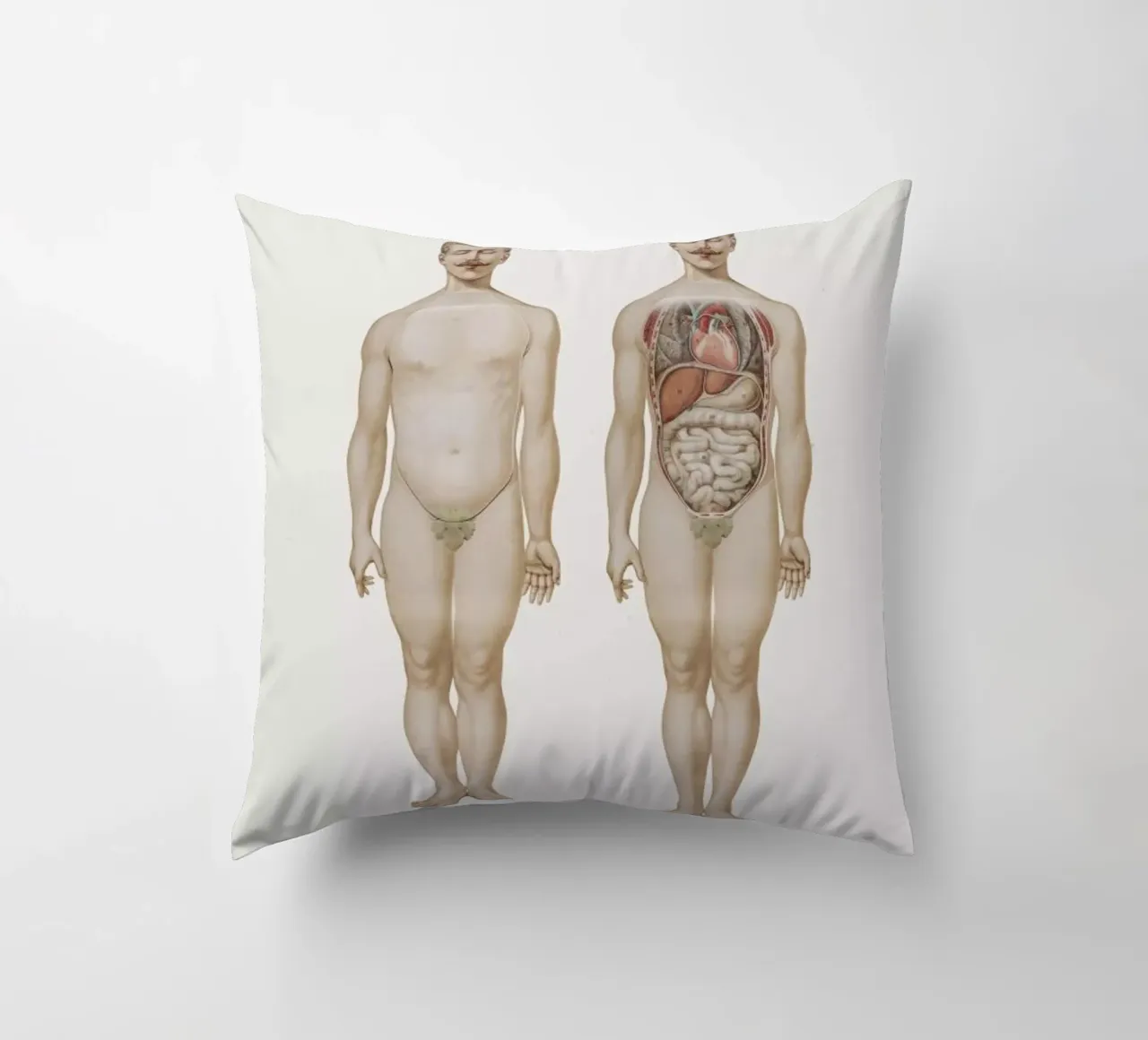 Anatomy decorative cushion by Flora & Fauna