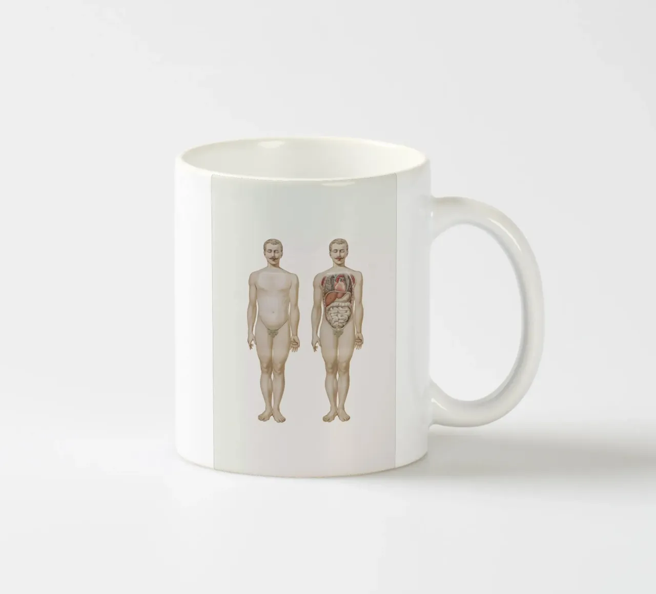 Anatomy tazza in ceramica da Flora & Fauna