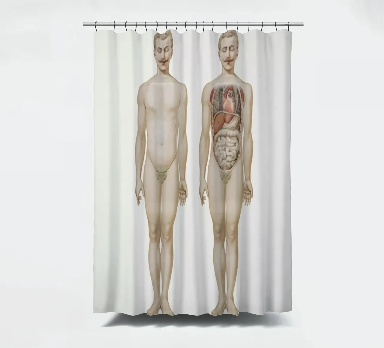 Anatomy shower curtain by Flora & Fauna