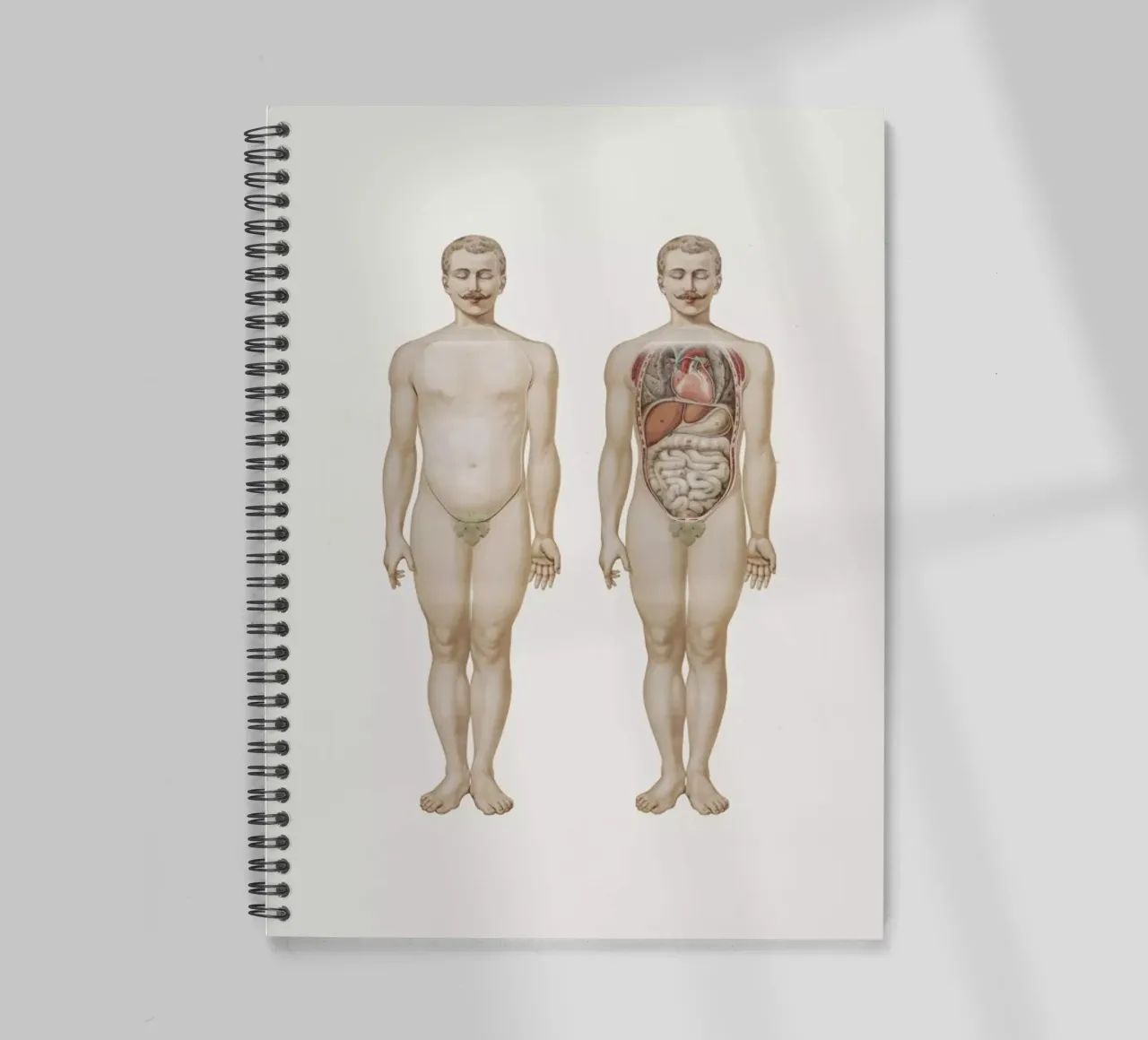 Anatomy spiral notebook by Flora & Fauna