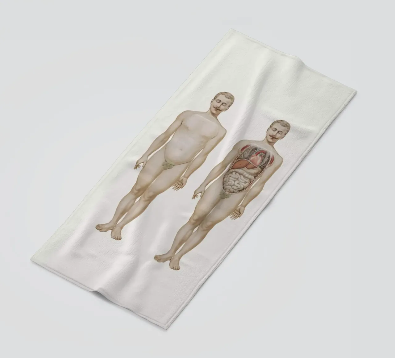 Anatomy telo mare da Flora & Fauna