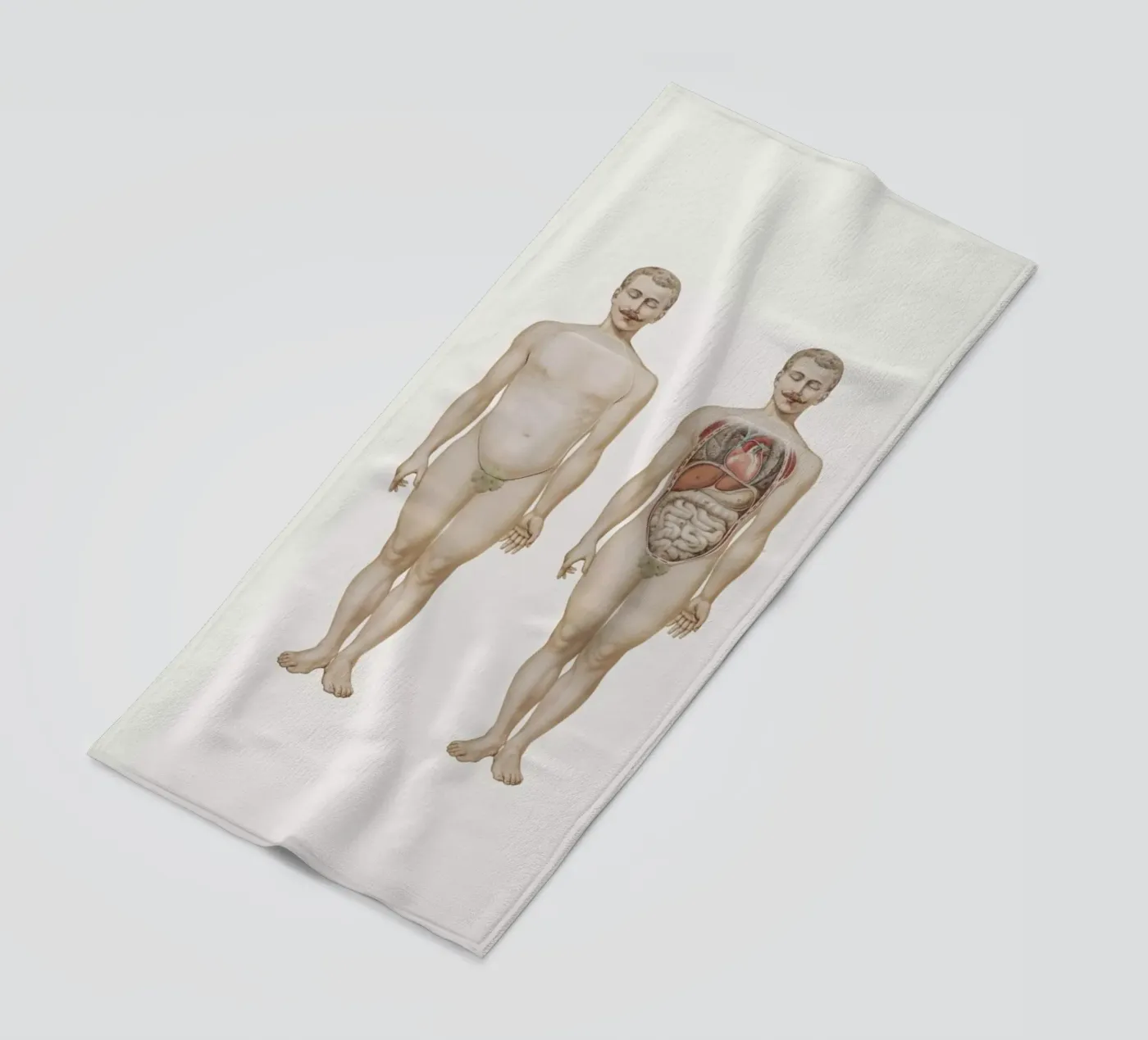 Anatomy telo mare da Flora & Fauna