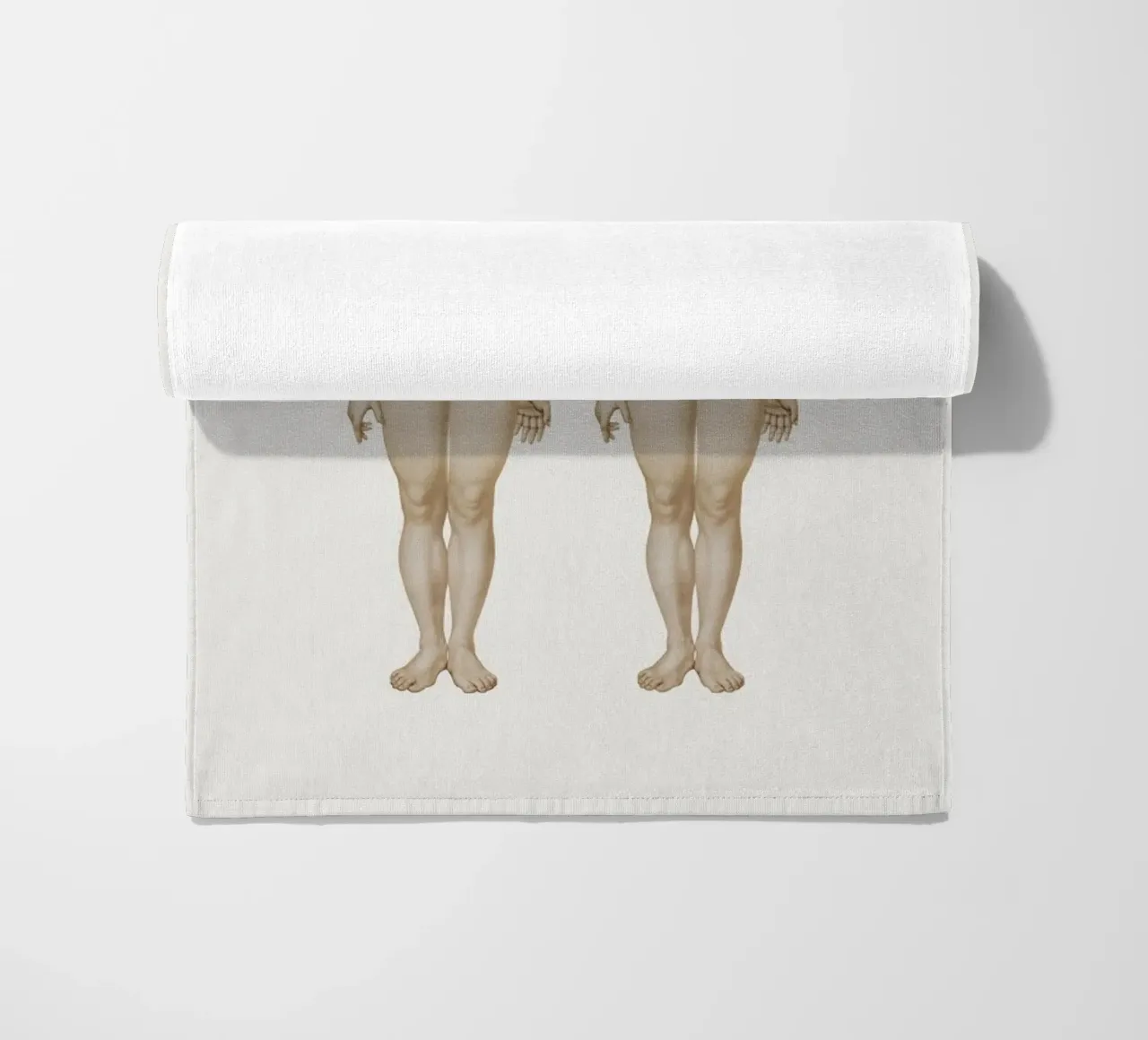 Anatomy telo mare da Flora & Fauna