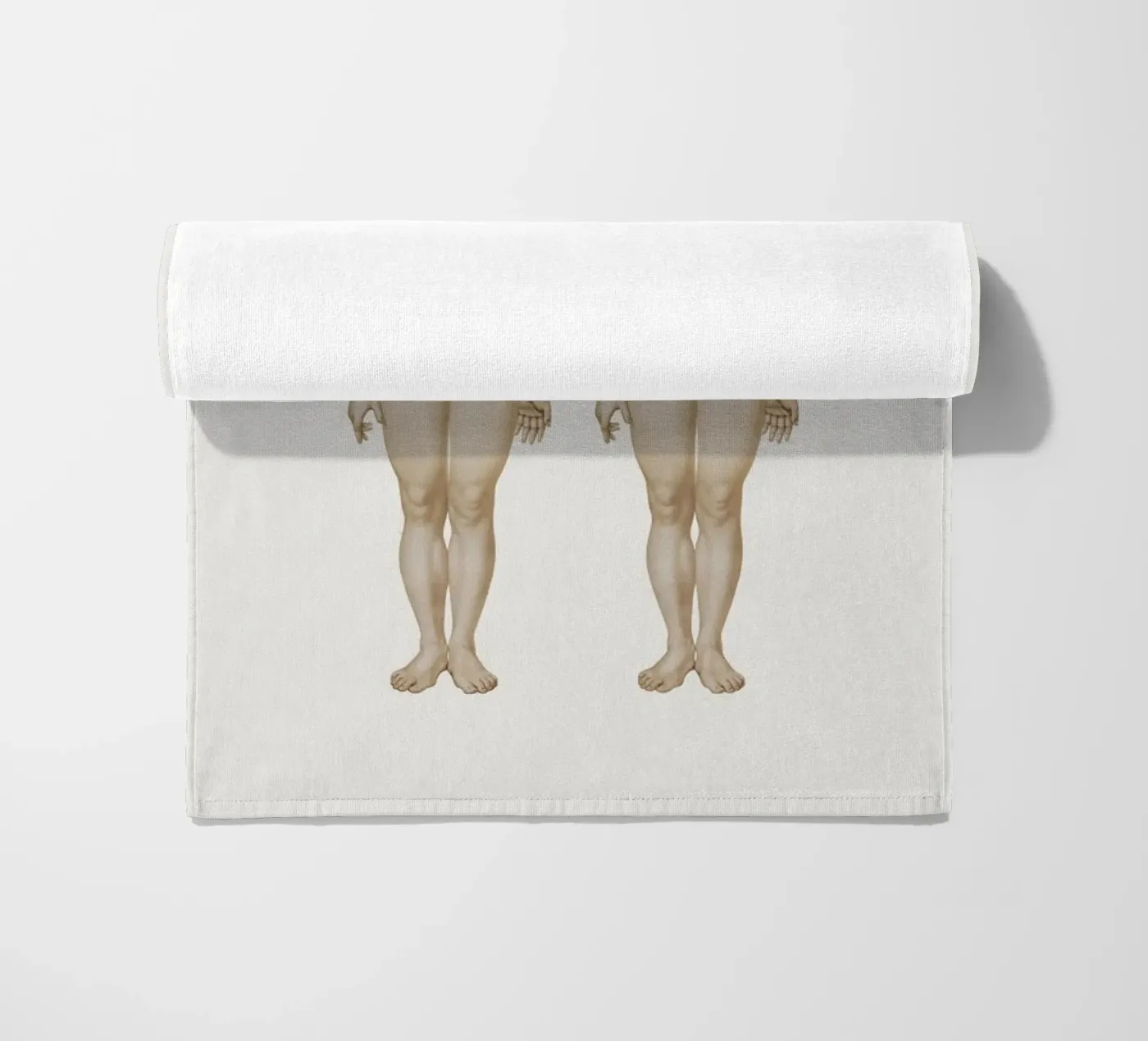 Anatomy telo mare da Flora & Fauna