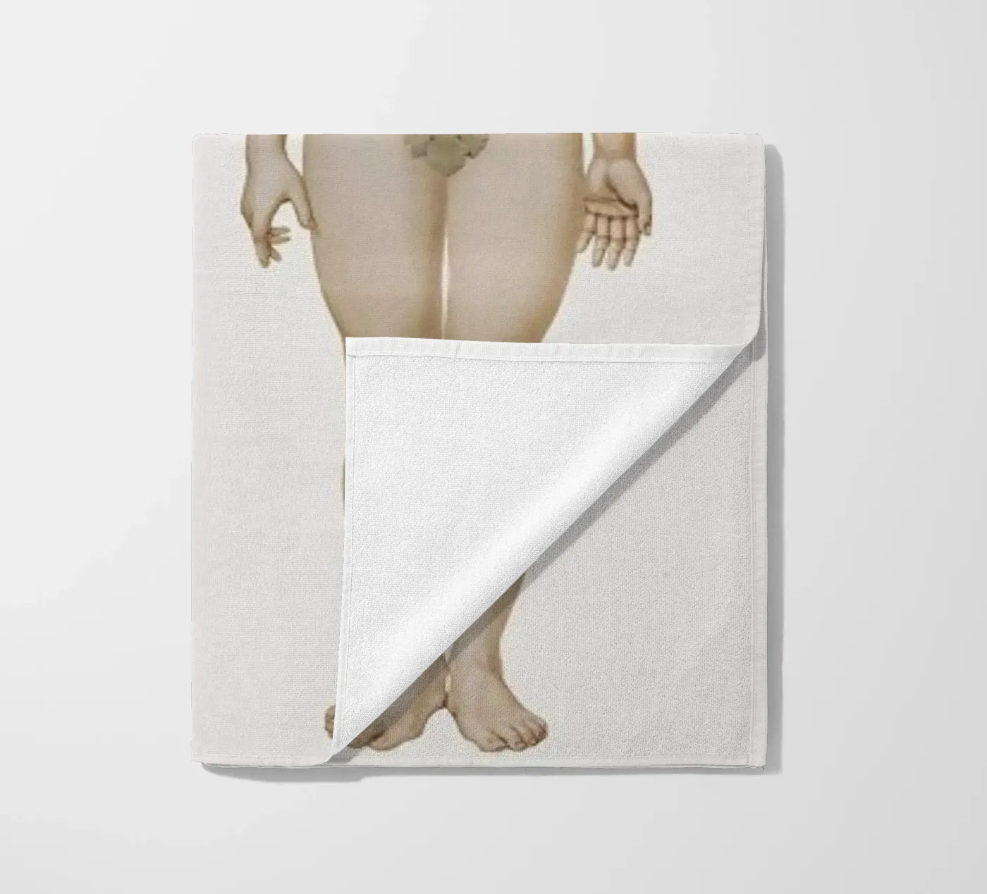 Anatomy telo mare da Flora & Fauna