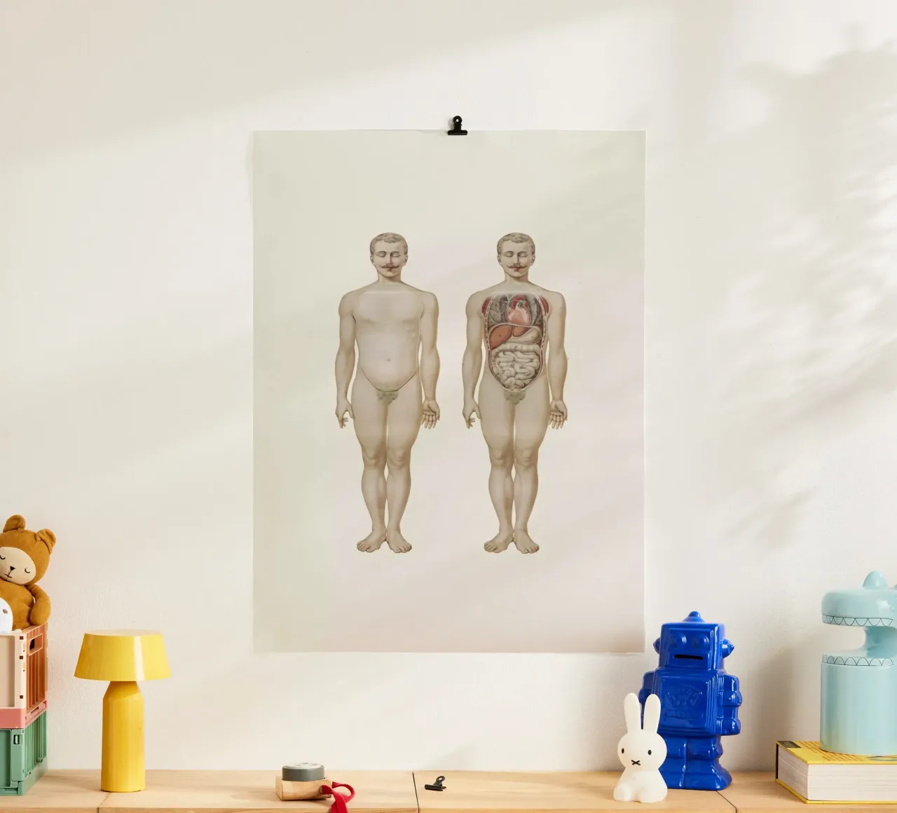 Anatomy hahnemühle de Flora & Fauna