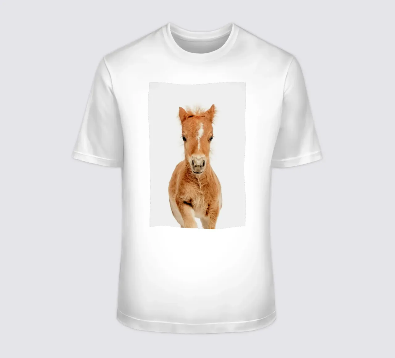 Foal t-shirt da Paws & Claws