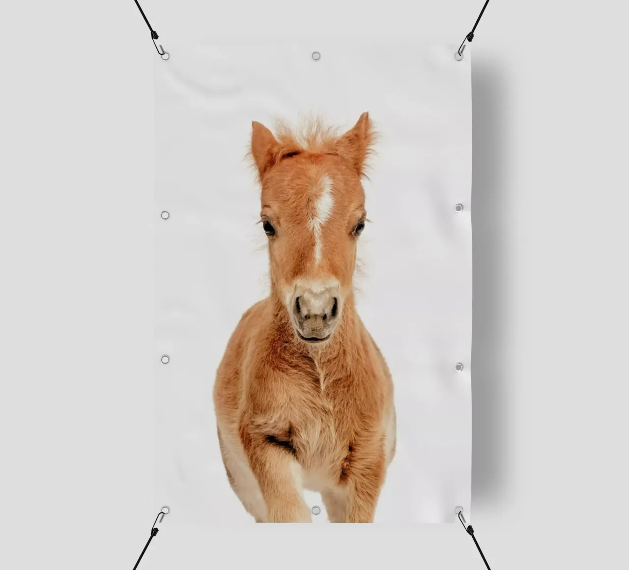 Foal telo in pvc da Paws & Claws