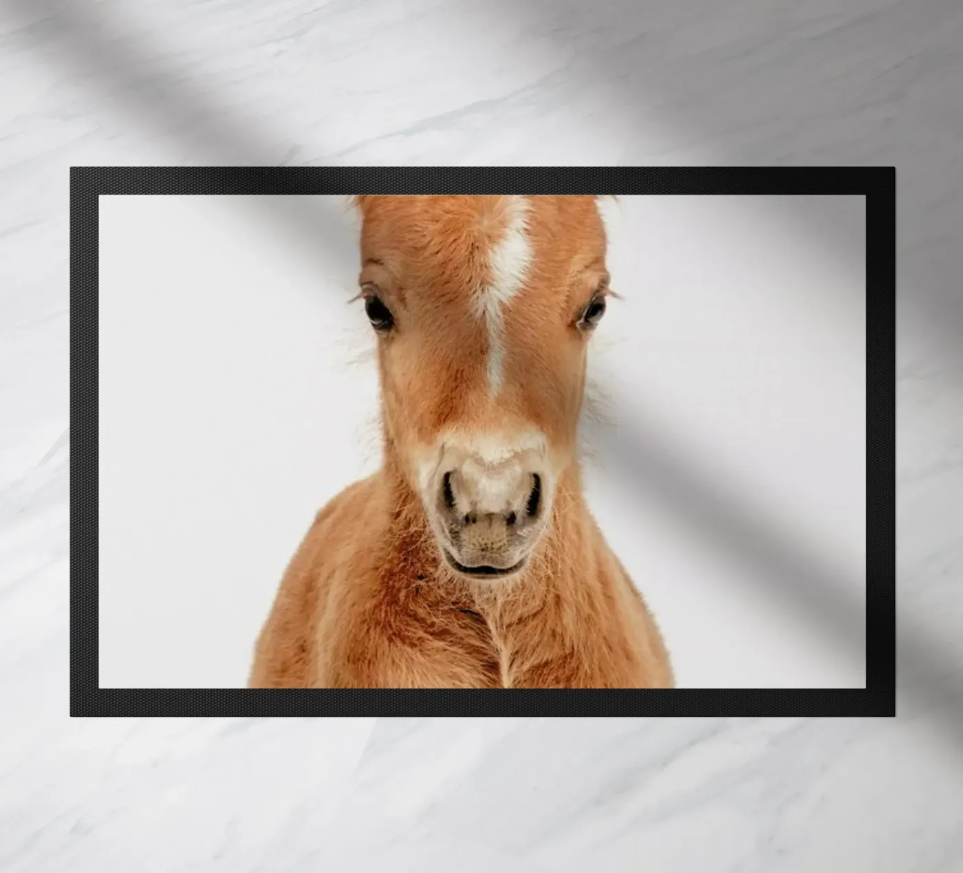 Foal zerbino da Paws & Claws