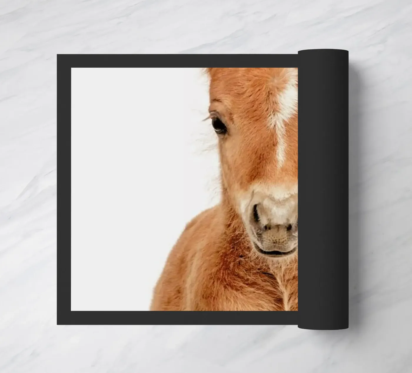 Foal doormat by Paws & Claws