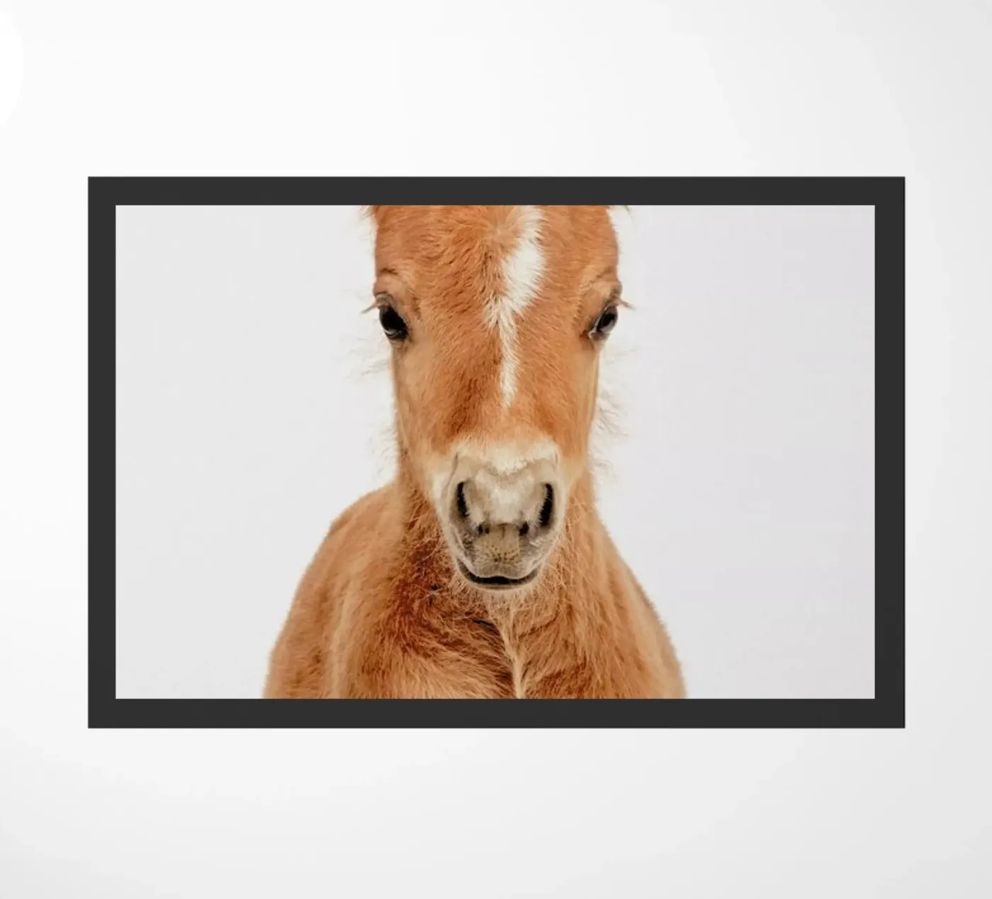 Foal doormat by Paws & Claws