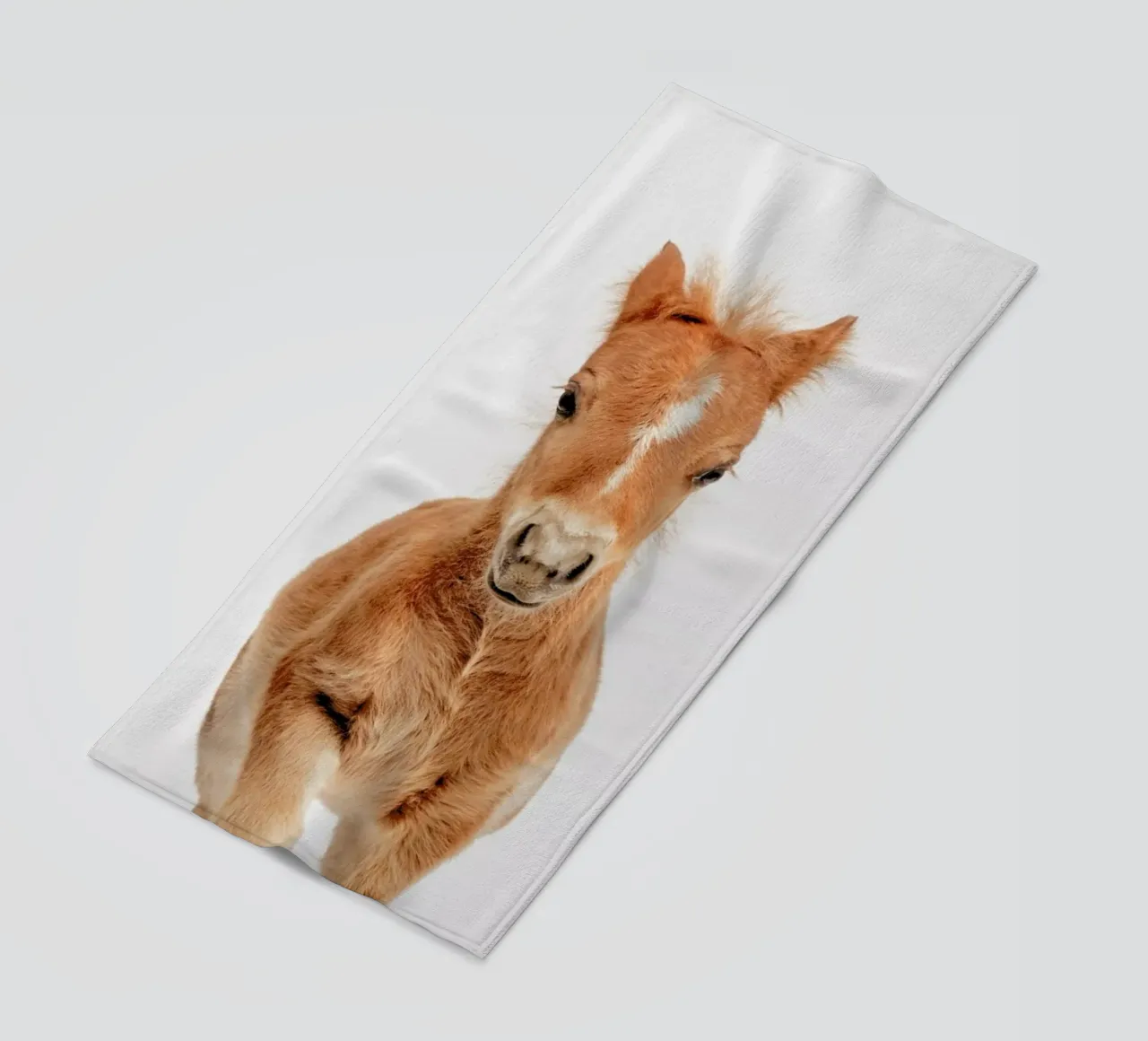 Foal telo mare da Paws & Claws