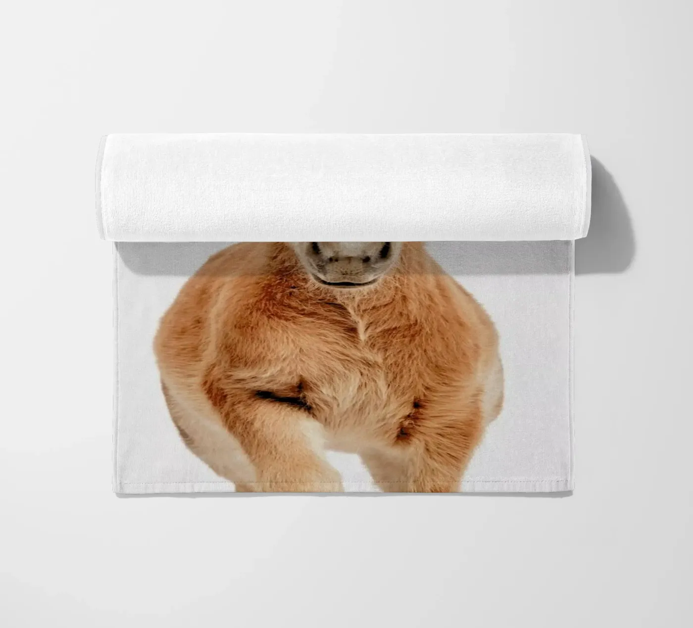 Foal telo mare da Paws & Claws