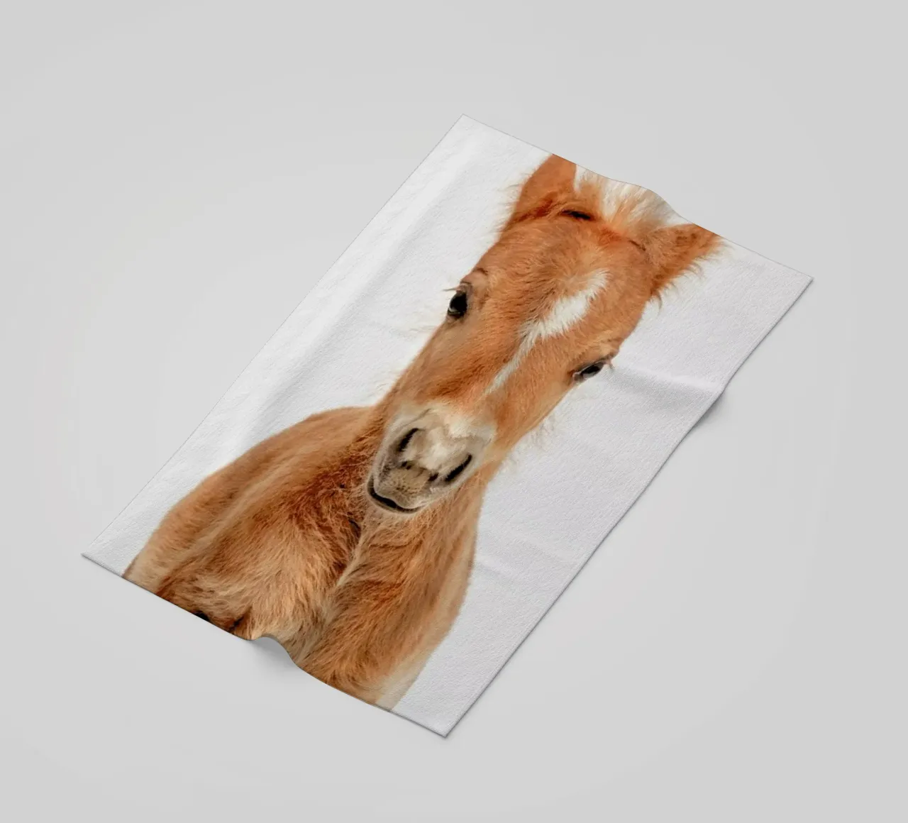 Foal telo mare da Paws & Claws