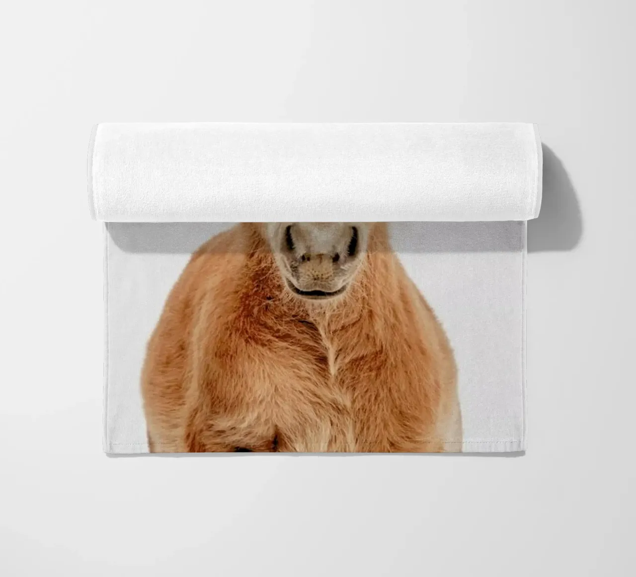 Foal telo mare da Paws & Claws