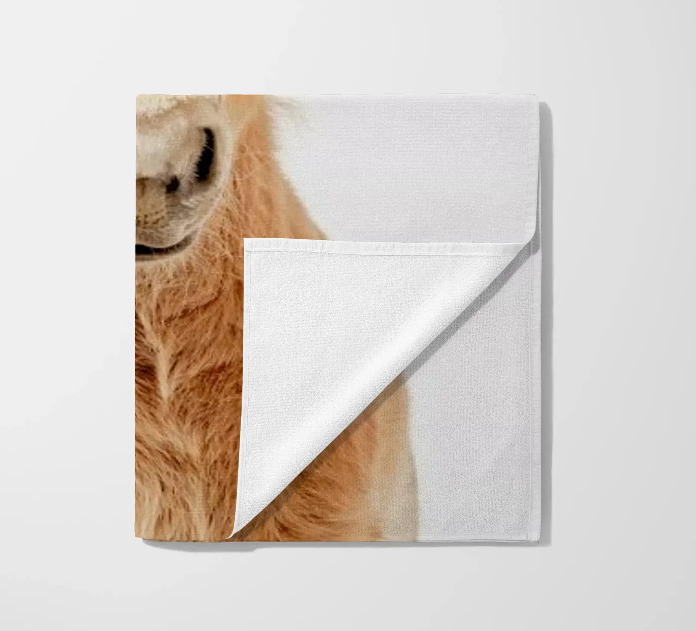 Foal telo mare da Paws & Claws