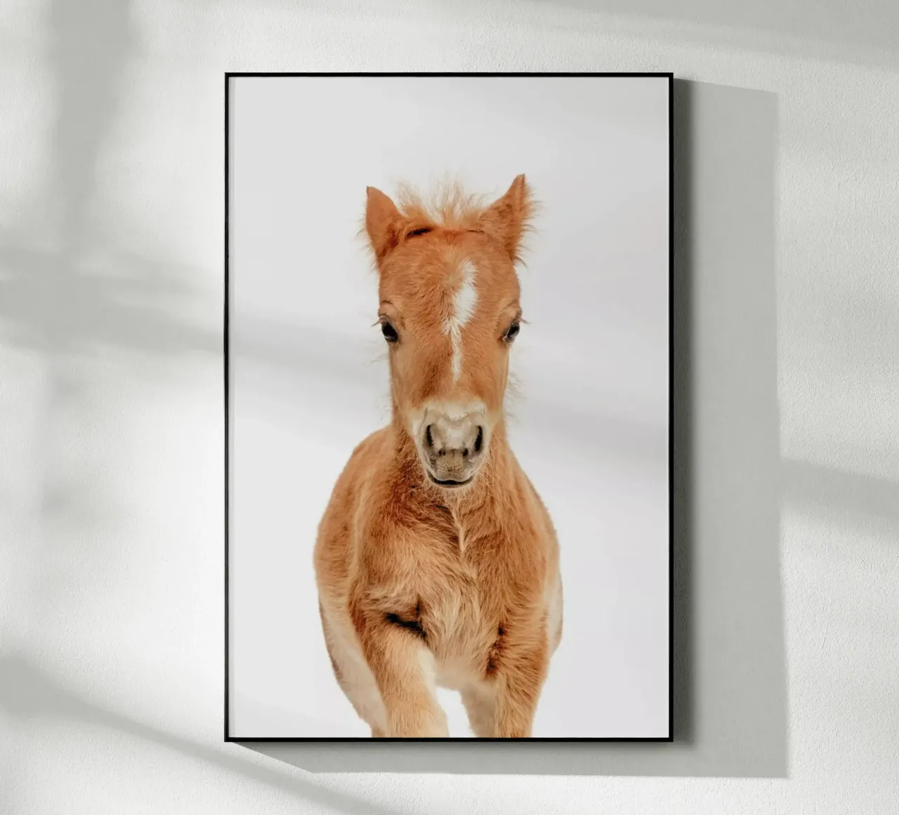 Foal plexiglass da Paws & Claws