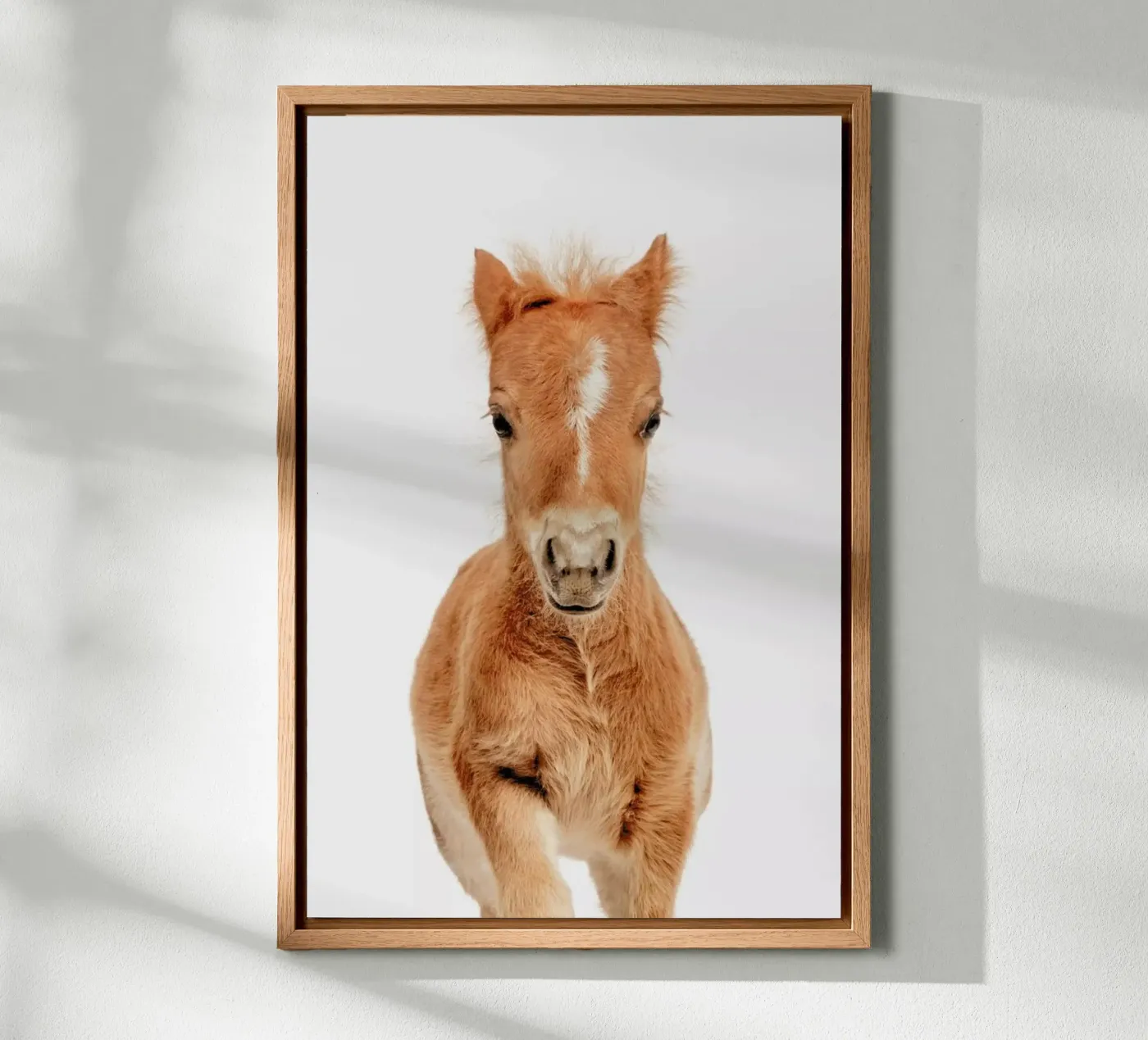 Foal forex plate by Paws & Claws