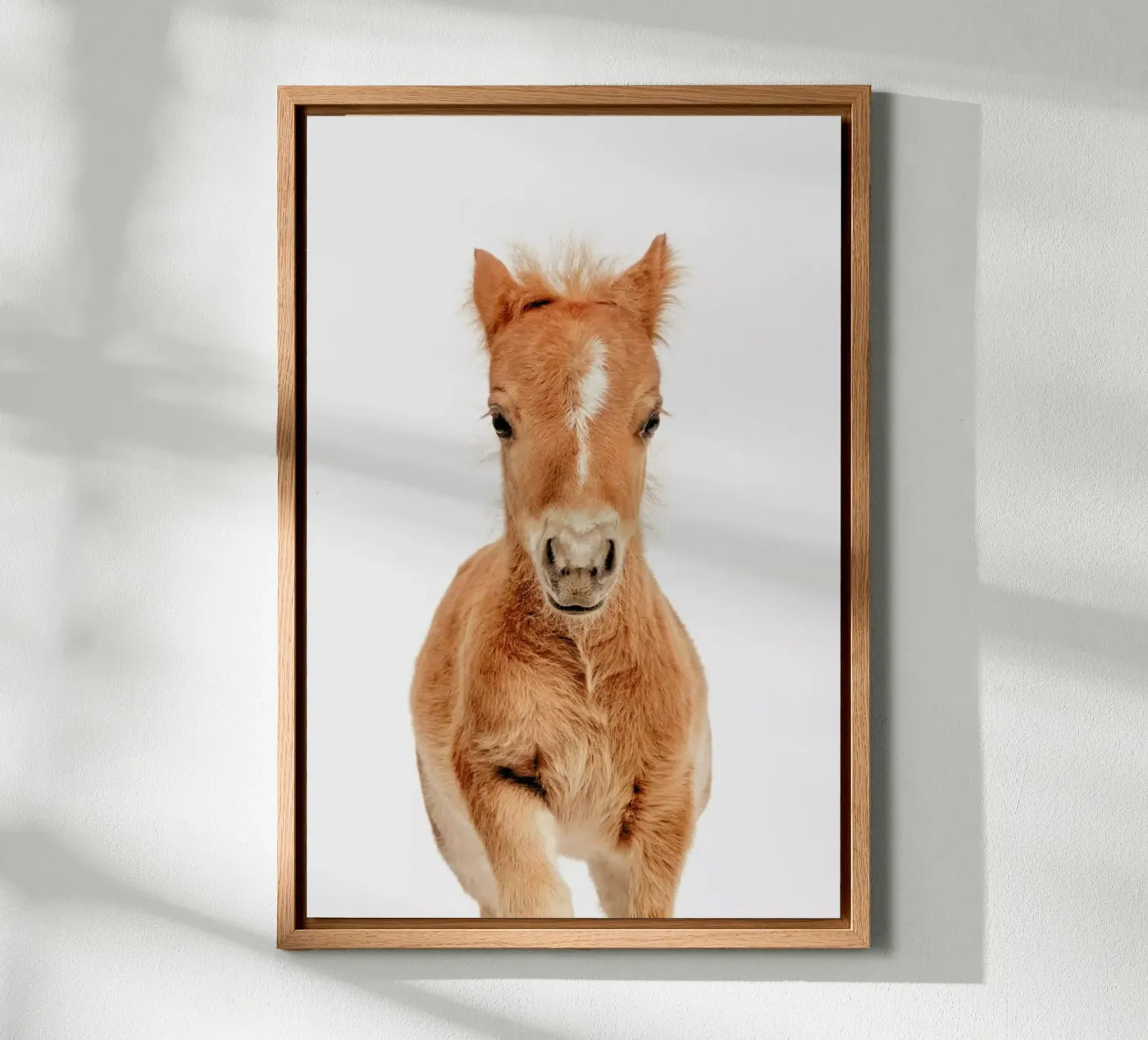 Foal tela da Paws & Claws