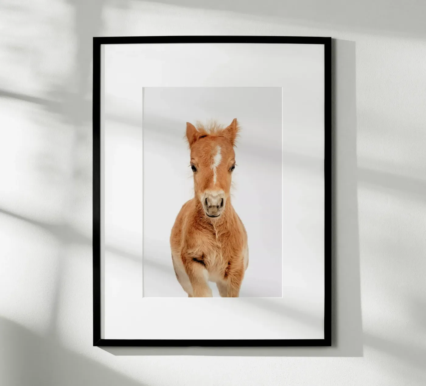 Foal poster da Paws & Claws