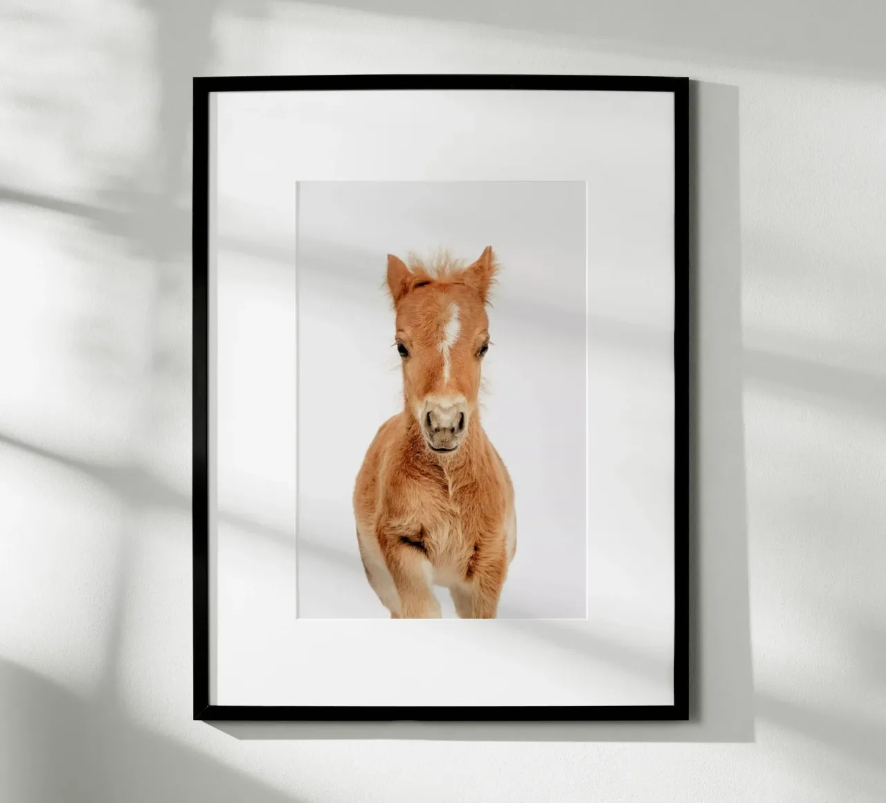 Foal poster by Paws & Claws